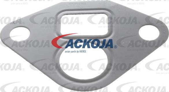 ACKOJAP A26-63-0002 - Клапан повернення ОГ autocars.com.ua