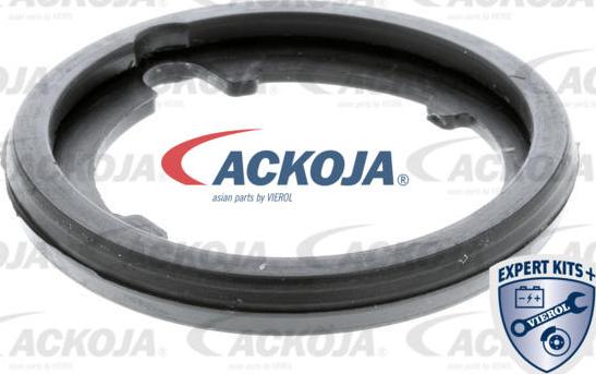 ACKOJAP A26-99-0008 - Термостат, охолоджуюча рідина autocars.com.ua