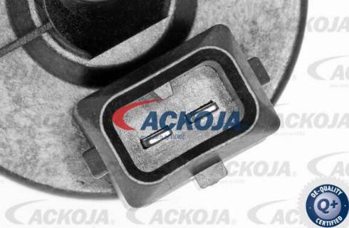 ACKOJAP A38-0391 - Важіль незалежної підвіски колеса autocars.com.ua