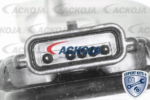 ACKOJAP A51-01-0005 - Вентилятор, охлаждение двигателя autodnr.net