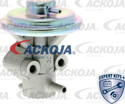 ACKOJAP A51-63-0008 - Клапан повернення ОГ autocars.com.ua