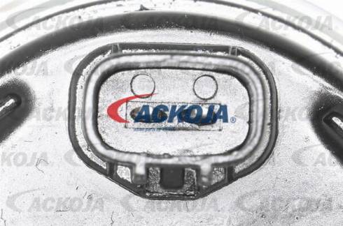 ACKOJAP A52-0030 - Комплект зчеплення autocars.com.ua