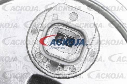 ACKOJAP A52-0204 - Комплект ременя ГРМ autocars.com.ua