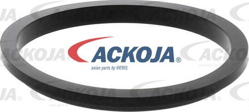 ACKOJAP A52-09-0008 - Модуль паливного насоса autocars.com.ua