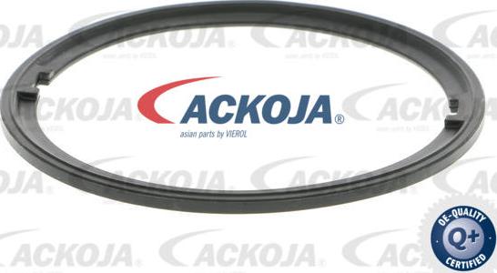 ACKOJAP A52-09-0027 - Модуль паливного насоса autocars.com.ua