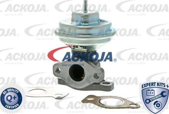 ACKOJAP A52-63-0001 - Клапан повернення ОГ autocars.com.ua