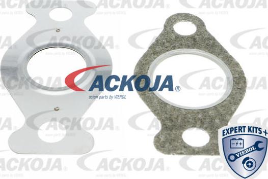 ACKOJAP A52-63-0002 - Клапан повернення ОГ autocars.com.ua