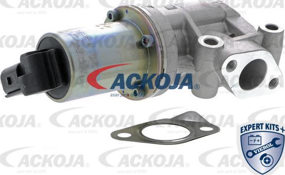 ACKOJAP A52-63-0005 - Клапан повернення ОГ autocars.com.ua