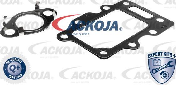 ACKOJAP A52-63-0016 - Клапан повернення ОГ autocars.com.ua