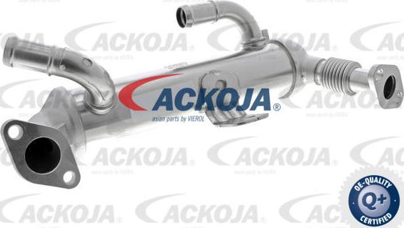 ACKOJAP A52-63-0017 - Радіатор, рециркуляція ОГ autocars.com.ua