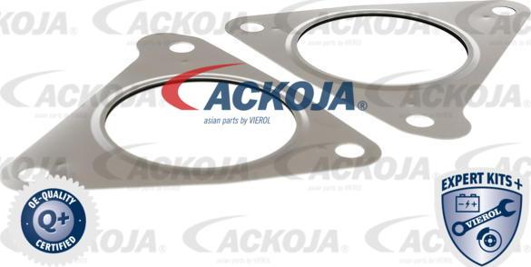 ACKOJAP A53-63-0003 - Клапан повернення ОГ autocars.com.ua