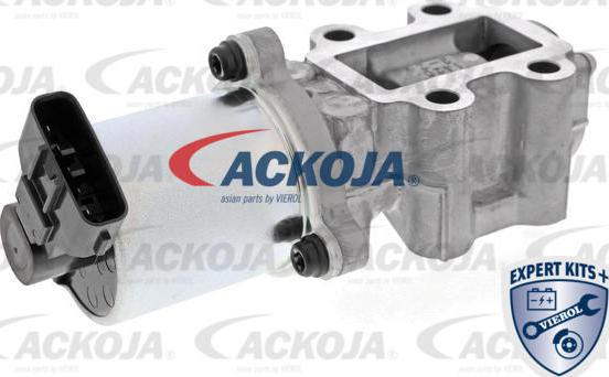 ACKOJAP A70-63-0025 - Клапан повернення ОГ autocars.com.ua