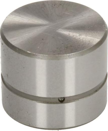 AE FOL156 - Штовхач, гидрокомпенсатор autocars.com.ua