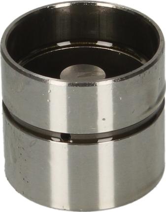 AE FOL168 - Штовхач, гидрокомпенсатор autocars.com.ua