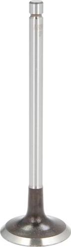 AE V94599 - Впускний клапан autocars.com.ua