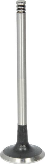 AE V94609 - Випускний клапан autocars.com.ua