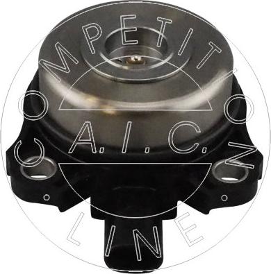 AIC 57615 - Центральный магнит, шестерня привода распределительного вала avtokuzovplus.com.ua