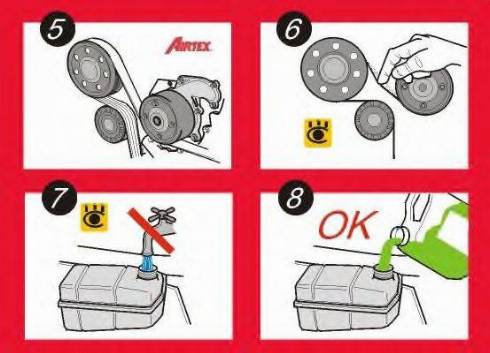 Airtex WPK-170302 - Водяний насос + комплект зубчатого ременя autocars.com.ua