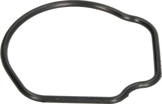 Ajusa 01096800 - Прокладка, термостат autocars.com.ua