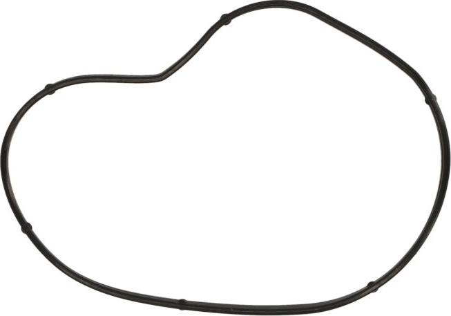 Ajusa 01099900 - Прокладка, водяний насос autocars.com.ua