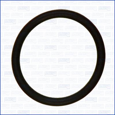 Ajusa 16101100 - Кільце ущільнювача autocars.com.ua
