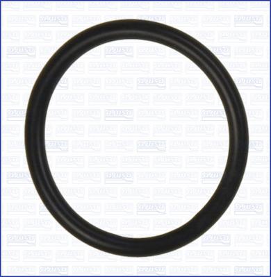 Ajusa 16524100 - Уплотнительное кольцо, трубка охлаждающей жидкости avtokuzovplus.com.ua