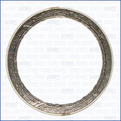 Ajusa 19002200 - Уплотнительное кольцо, труба выхлопного газа avtokuzovplus.com.ua