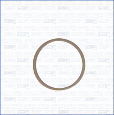 Ajusa 22004800 - Уплотнительное кольцо, резьбовая пробка маслосливного отверстия autodnr.net