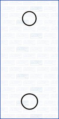 Ajusa 77001900 - Комплект прокладок, водяний насос autocars.com.ua