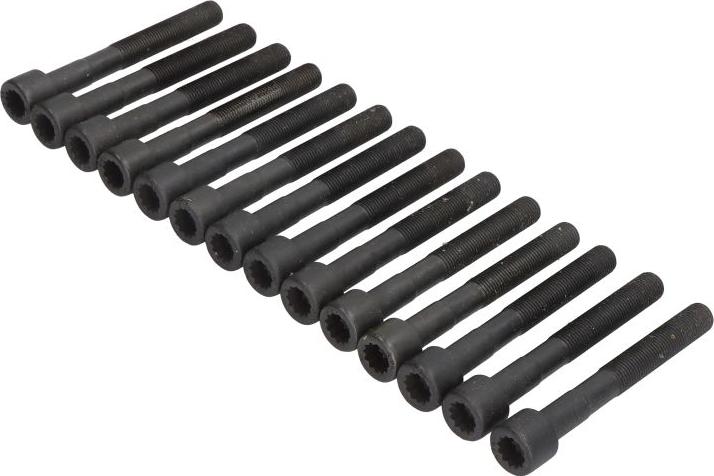 Ajusa 81014600 - Комплект болтів головки циліндрів autocars.com.ua