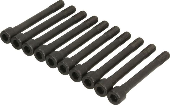 Ajusa 81029900 - Комплект болтів головки циліндрів autocars.com.ua