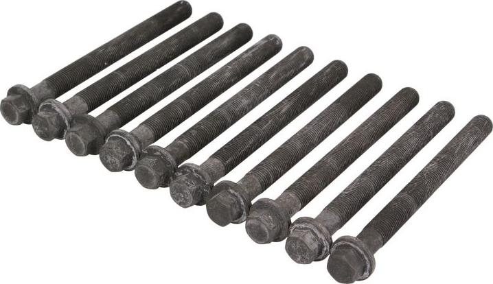 Ajusa 81044300 - Комплект болтів головки циліндрів autocars.com.ua