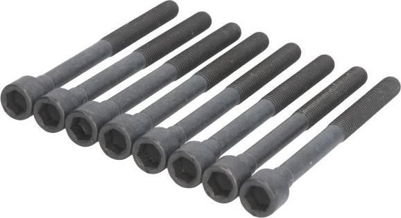 Ajusa 81061700 - Комплект болтів головки циліндрів autocars.com.ua