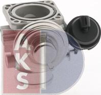 AKS Dasis 045161N - Клапан повернення ОГ autocars.com.ua
