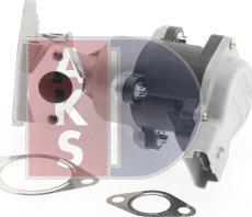 AKS Dasis 065013N - Клапан повернення ОГ autocars.com.ua
