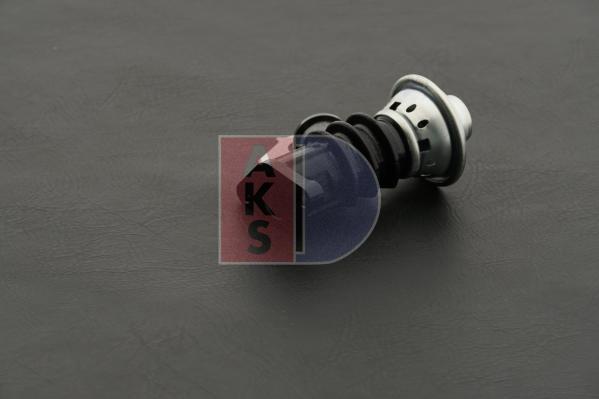 AKS Dasis 065018N - Клапан повернення ОГ autocars.com.ua