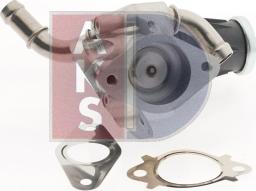 AKS Dasis 095036N - Клапан повернення ОГ autocars.com.ua