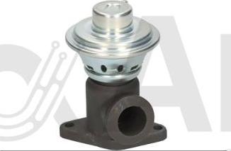 Alfa e-Parts AF08653 - Клапан повернення ОГ autocars.com.ua