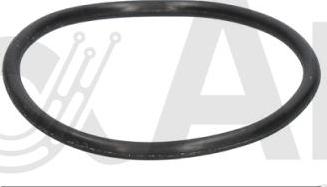 Alfa e-Parts AF10773 - Прокладка, термостат autocars.com.ua