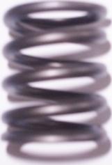 Allmakes 20462093F - Пружина клапана autocars.com.ua