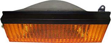 Allmakes 56000853 - Бічний ліхтар, покажчик повороту autocars.com.ua