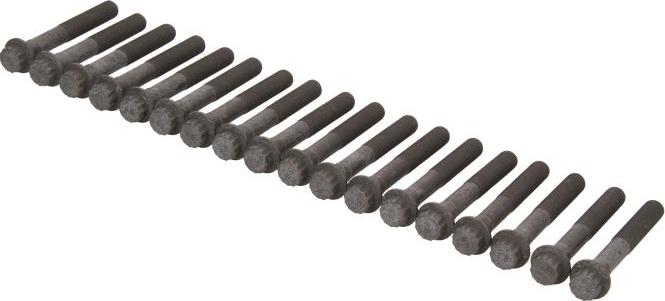 AMC 258519 - Комплект болтів головки циліндрів autocars.com.ua