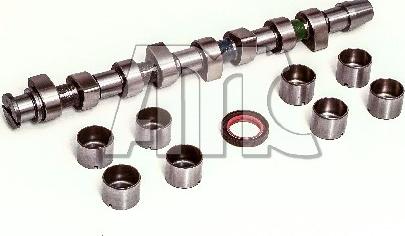 AMC 613203K - Комплект распредвала autocars.com.ua
