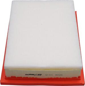 AMC Filter FAF-10171 - Повітряний фільтр autocars.com.ua