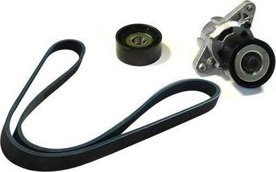 ASAM 25141 - Поликлиновий ремінний комплект autocars.com.ua