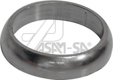 ASAM 30599 - Уплотнительное кольцо, труба выхлопного газа avtokuzovplus.com.ua
