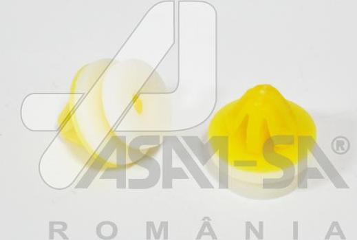 ASAM 30792 - Глуха кришка, контрольні прилади autocars.com.ua