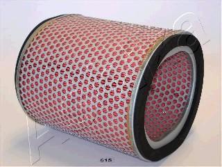 Ashika 20-05-515 - Повітряний фільтр autocars.com.ua