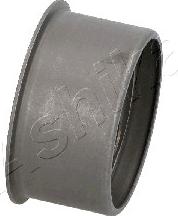 Ashika 45-05-519 - Натягувач, зубчастий ремінь autocars.com.ua