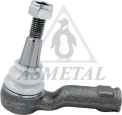 AS Metal 17LR1900 - Наконечник рульової тяги, кульовий шарнір autocars.com.ua